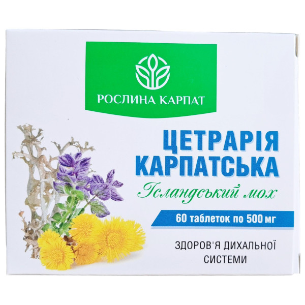 Цетрарія Карпатська Ісландський мох Рослина Карпат для дихальної системи