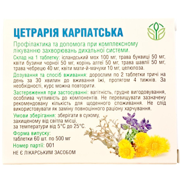 Цетрарія Карпатська Ісландський мох Рослина Карпат для дихальної системи